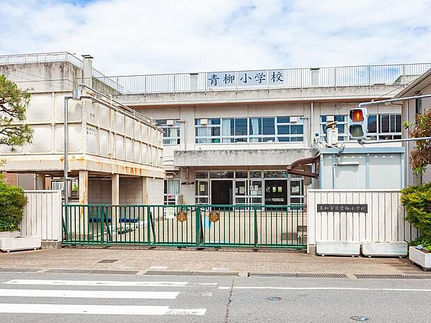 草加市立青柳小学校（約850m）