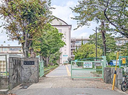 越谷市立南中学校 1000m(徒歩13分)