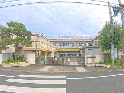 草加市立青柳小学校 850m(徒歩11分)