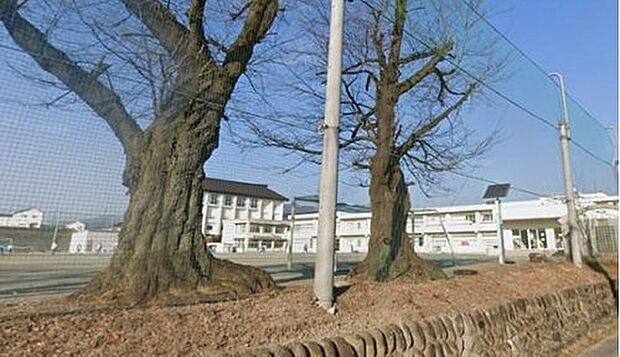 吉岡町立吉岡中学校(約2,960m)