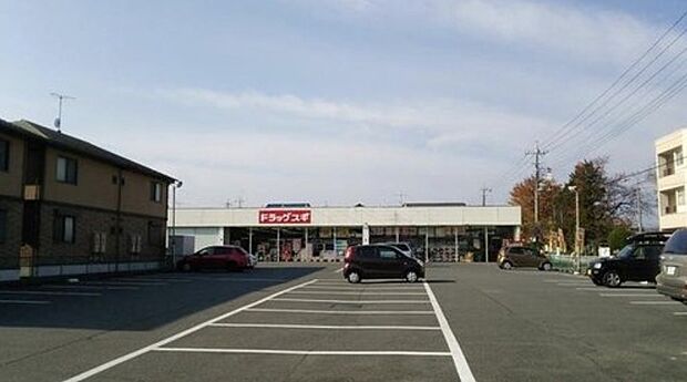 ドラッグスギ片岡店（約920m）