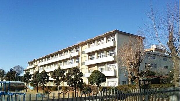 高崎市立西部小学校（約900m）