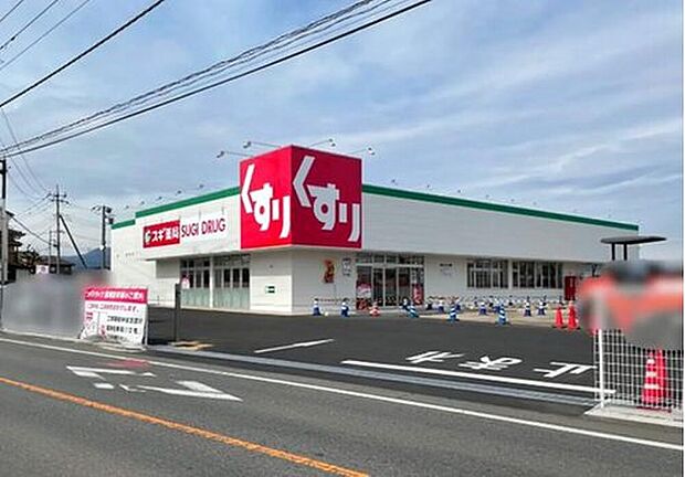 スギドラッグ剣崎店（約1,100m）