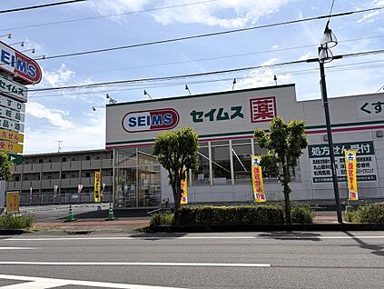 ドラッグセイムス高崎片岡町店 1459ｍ(徒歩19分)