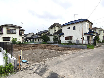 現地写真　7月撮影