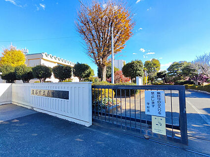 南中学校 1209m