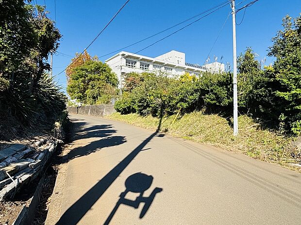 沢田小学校(約450m)