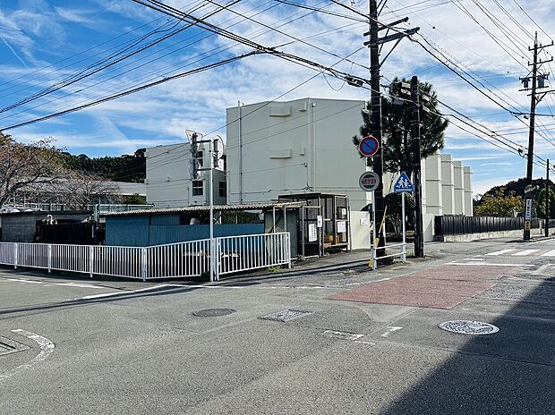 藤岡小学校(約600m)