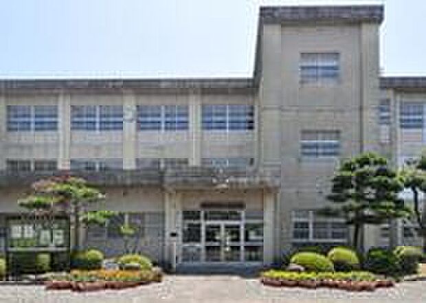 清水小学校（約300m）