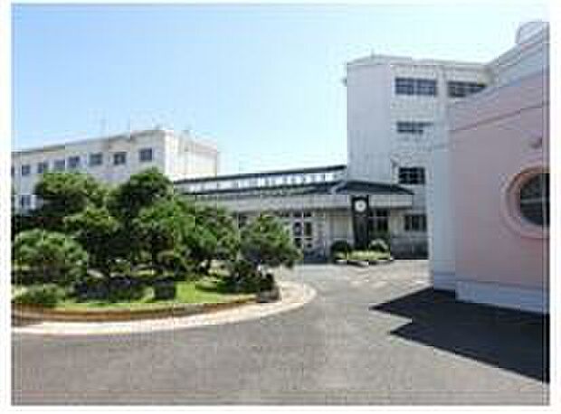 三保第一小学校(約900m)