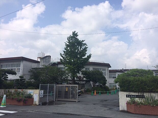 島田第一小学校（約600m）