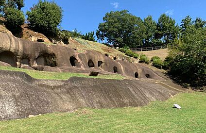 柏谷公園 270(徒歩４分)