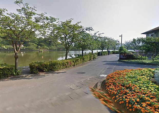 蓮華寺池公園（約700m）