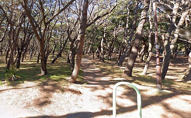 千本浜公園(約500m)