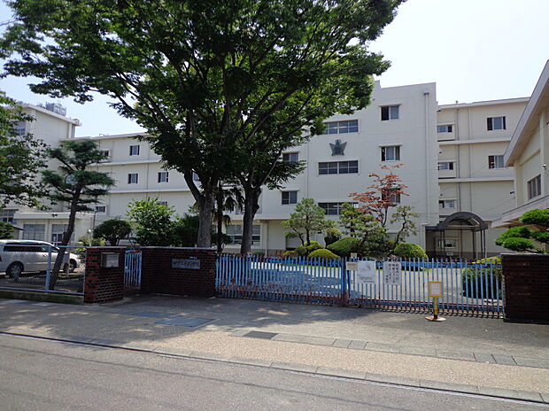 静岡市立南部小学校(約1,200m)