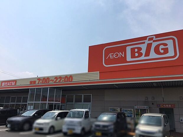 ザ・ビック川原店（約1,000m）
