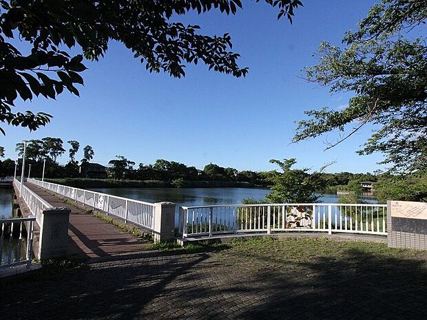 向山緑地(向山大池) まで徒歩約7分(約540m)
大きな池を囲む遊歩道が整った公園で、散歩やジョギングに最適。
桜やつつじなど四季の花が楽しめ、特に春はお花見スポットとして人気。