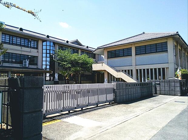 近江八幡市立八幡中学校（約800m）