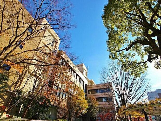 江戸川区役所（約652m）