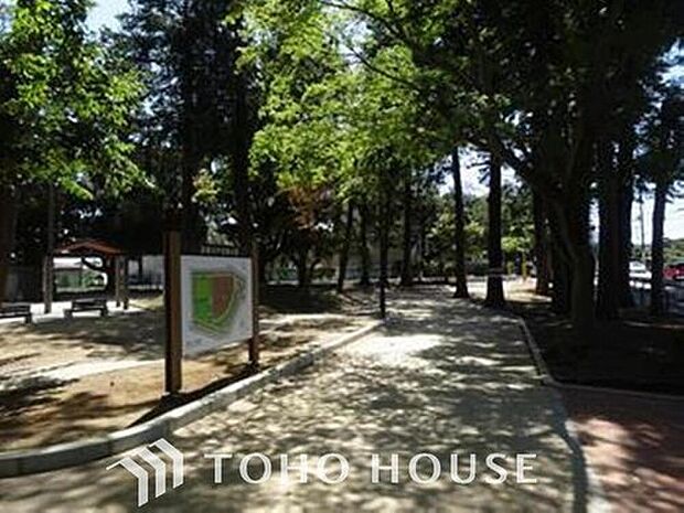 高根木戸近隣公園（約260m）