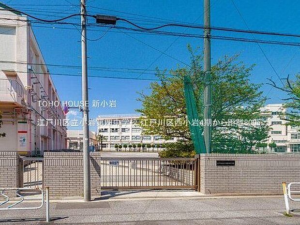 江戸川区立小岩第四中学校(約800m)