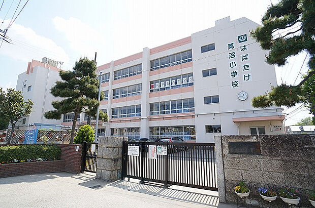 鷺沼小学校(約1,100m)