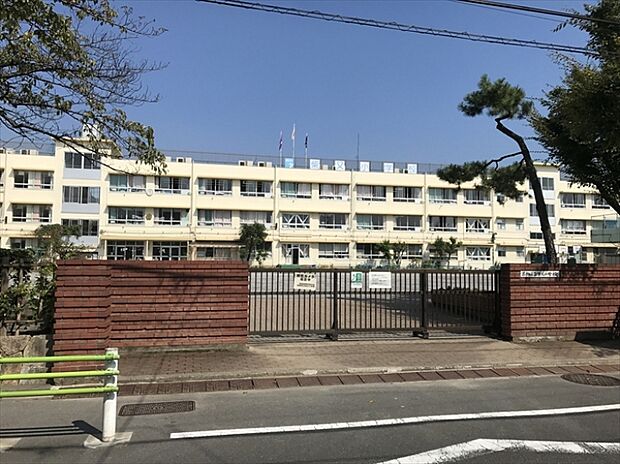 葛飾区立柴又小学校(約650m)
