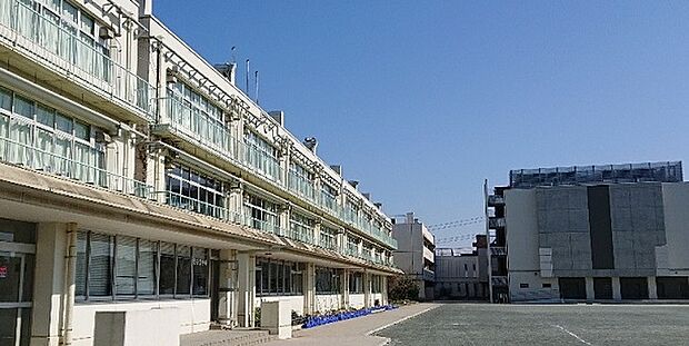 浦安市立南小学校(約350m)