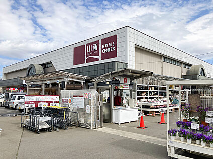 ホームセンター山新 平須店 約300m(徒歩4分)