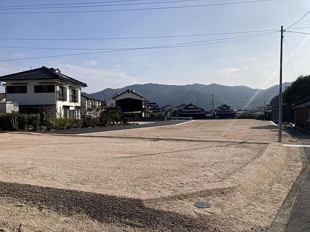 【現地写真】現地(2024年2月)撮影