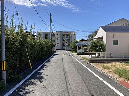 現地写真