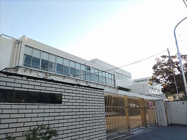 瀬ケ崎小学校(約240m)