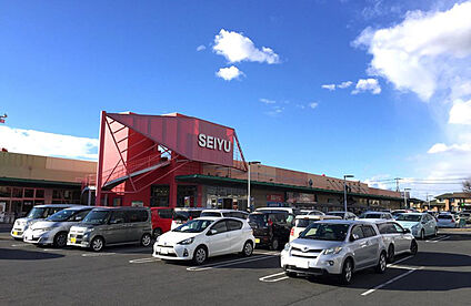 西友楽市守谷ショッピングセンター 約550m（徒歩7分）