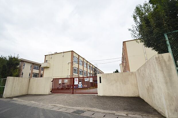 京都市桂川小学校(約430m)