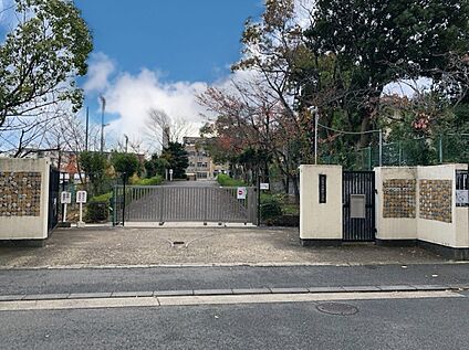 新林小学校 約356ｍ(徒歩5分)