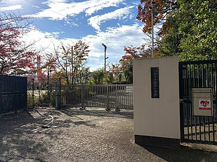 新林小学校 約350ｍ(徒歩５分)