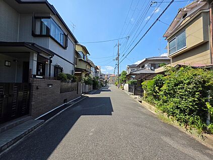 前道写真