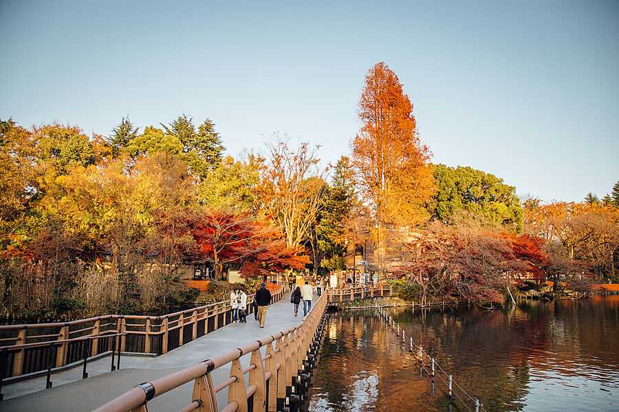 井の頭公園徒歩圏内で週末のちょっとしたお出掛けにぴったり。