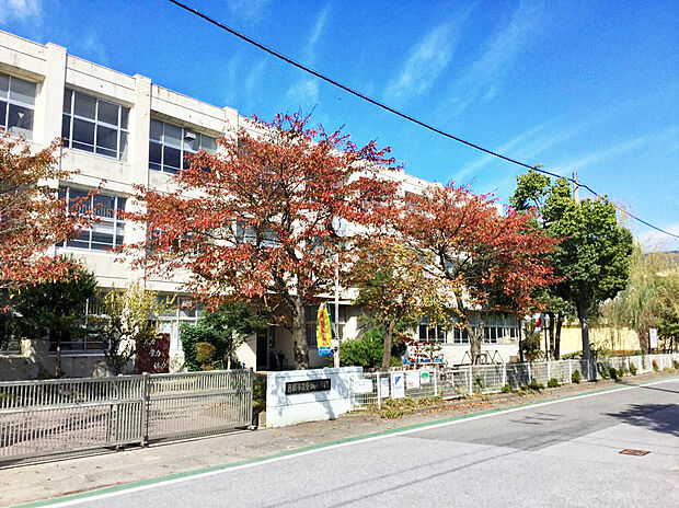 金城小学校(約1,673m)