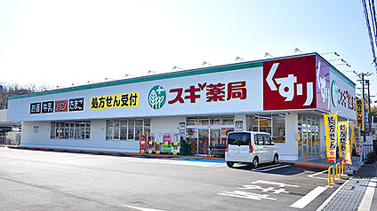 スギ薬局彦根中央店 500ｍ(徒歩約6分)