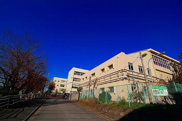 城郷中学校（約1,100m）