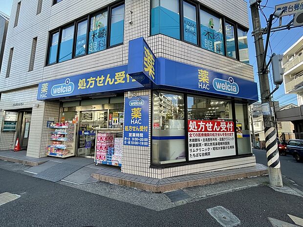 ハックドラッグ青葉台店（約250m）