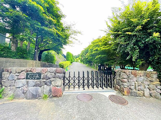 美しの森幼稚園（約850m）