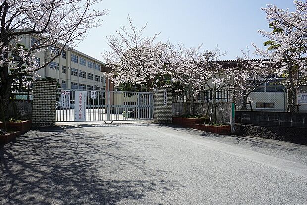 福岡市立老司中学校(約1,300m)