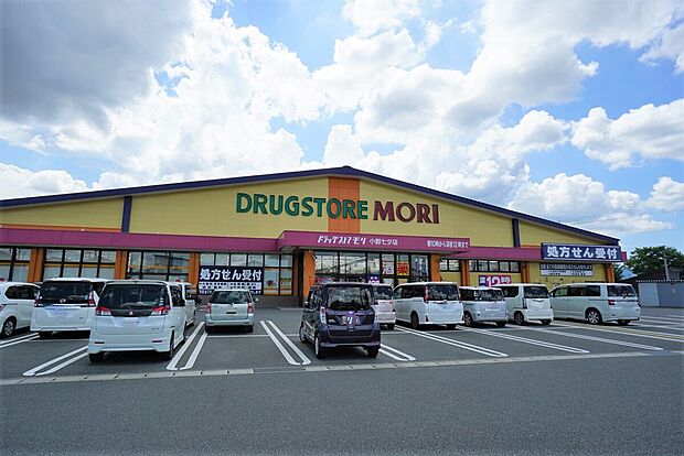 ドラッグストアモリ小郡七夕店(約891m)