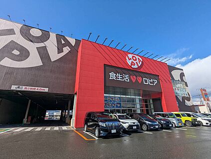 ロピア福岡白水店 911ｍ(徒歩14分)
