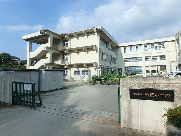 福岡市立柏原小学校(約550m・徒歩7分)