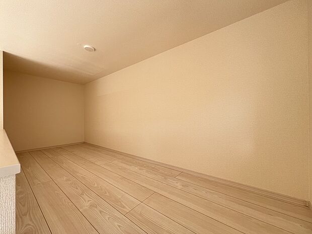 【その他内観】季節外の衣類や家電などの収納にも役立つロフトスペース(2号棟)