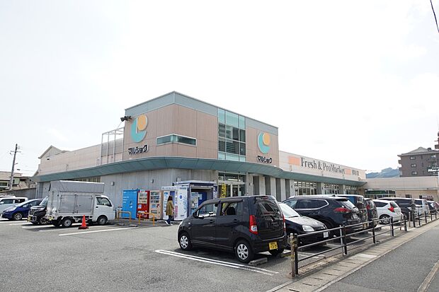 マルショク那珂川店(約874m・徒歩11分)