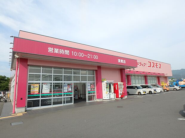 ドラッグストアコスモス 須恵店(約900m・徒歩12分)